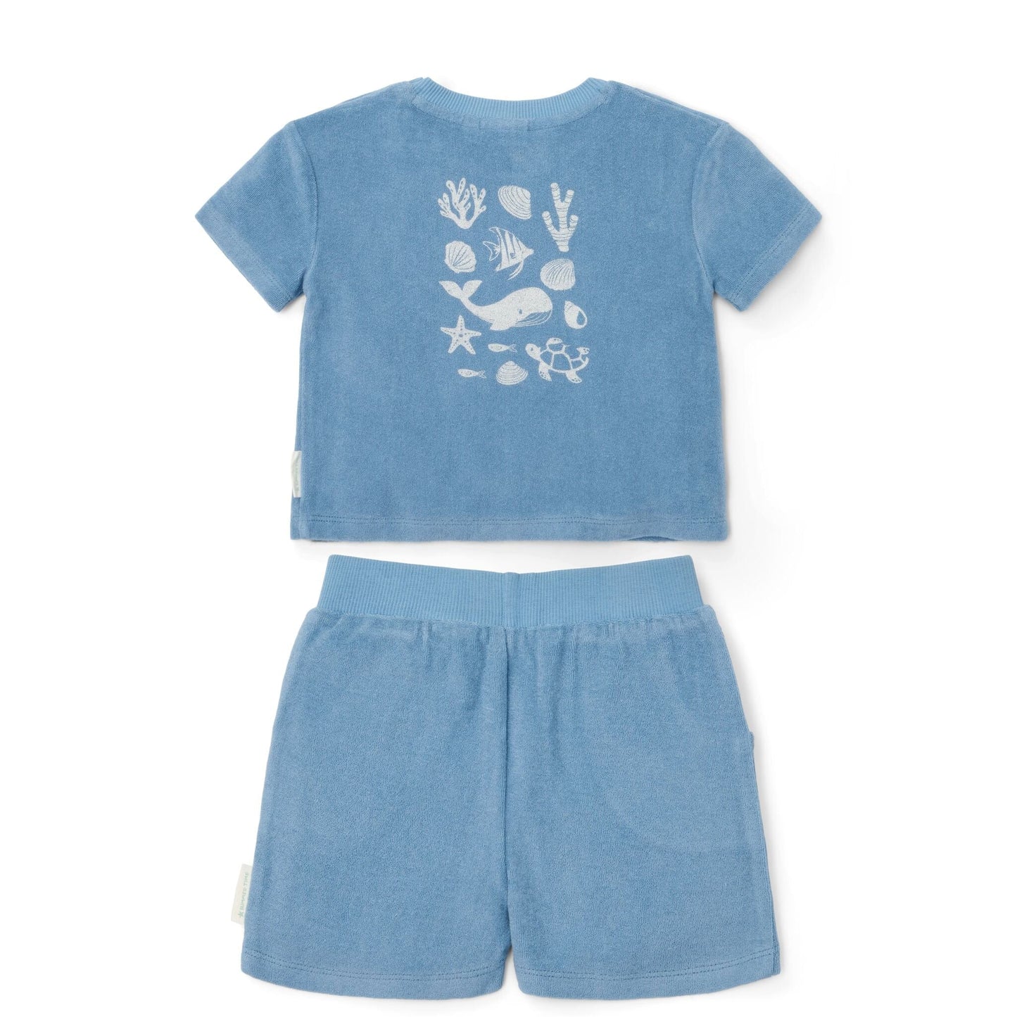 T-shirt e calção| Ocean Sea Life Ocean Blue
