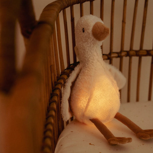 Little Goose Light & Sound