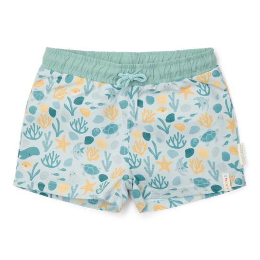 Beach Shorts - Seashells multi-colours