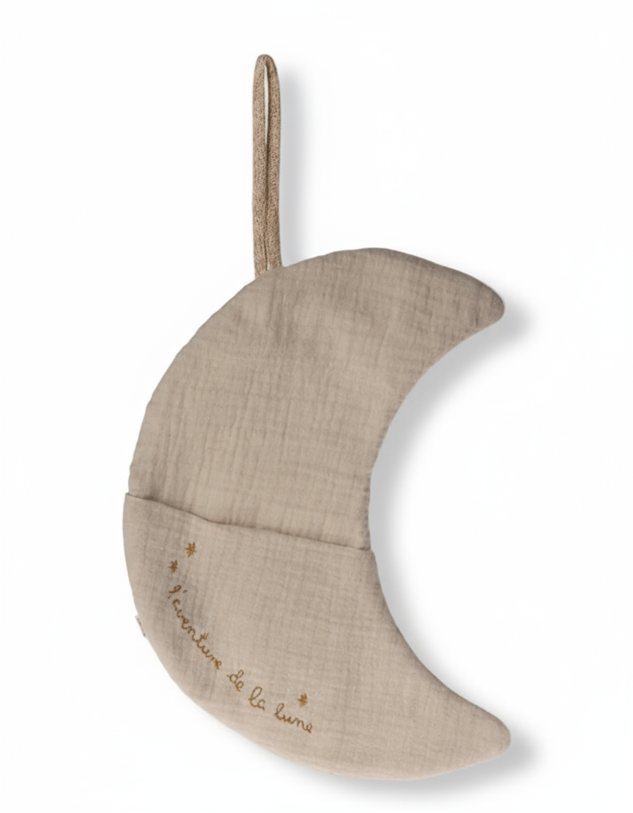Moon, L'aventure de la Lune | 26cm