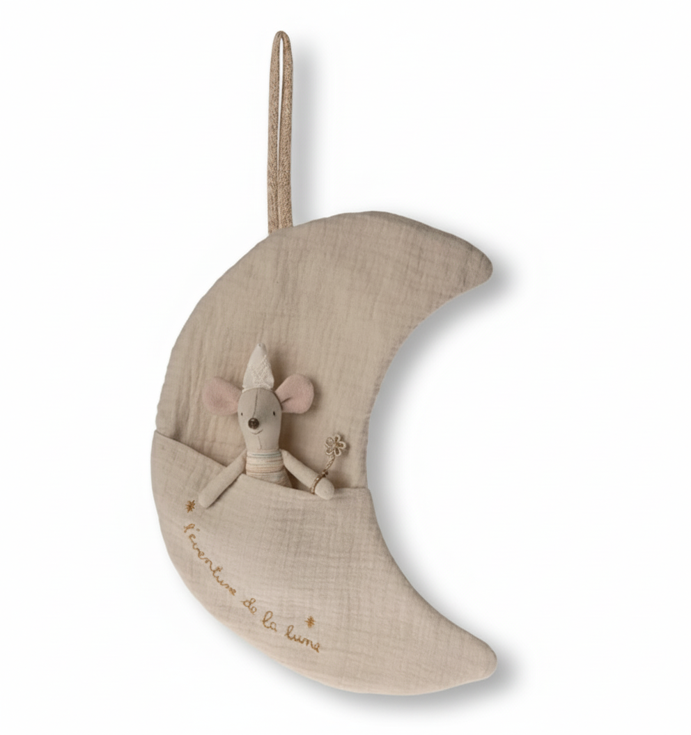 Moon, L'aventure de la Lune | 26cm