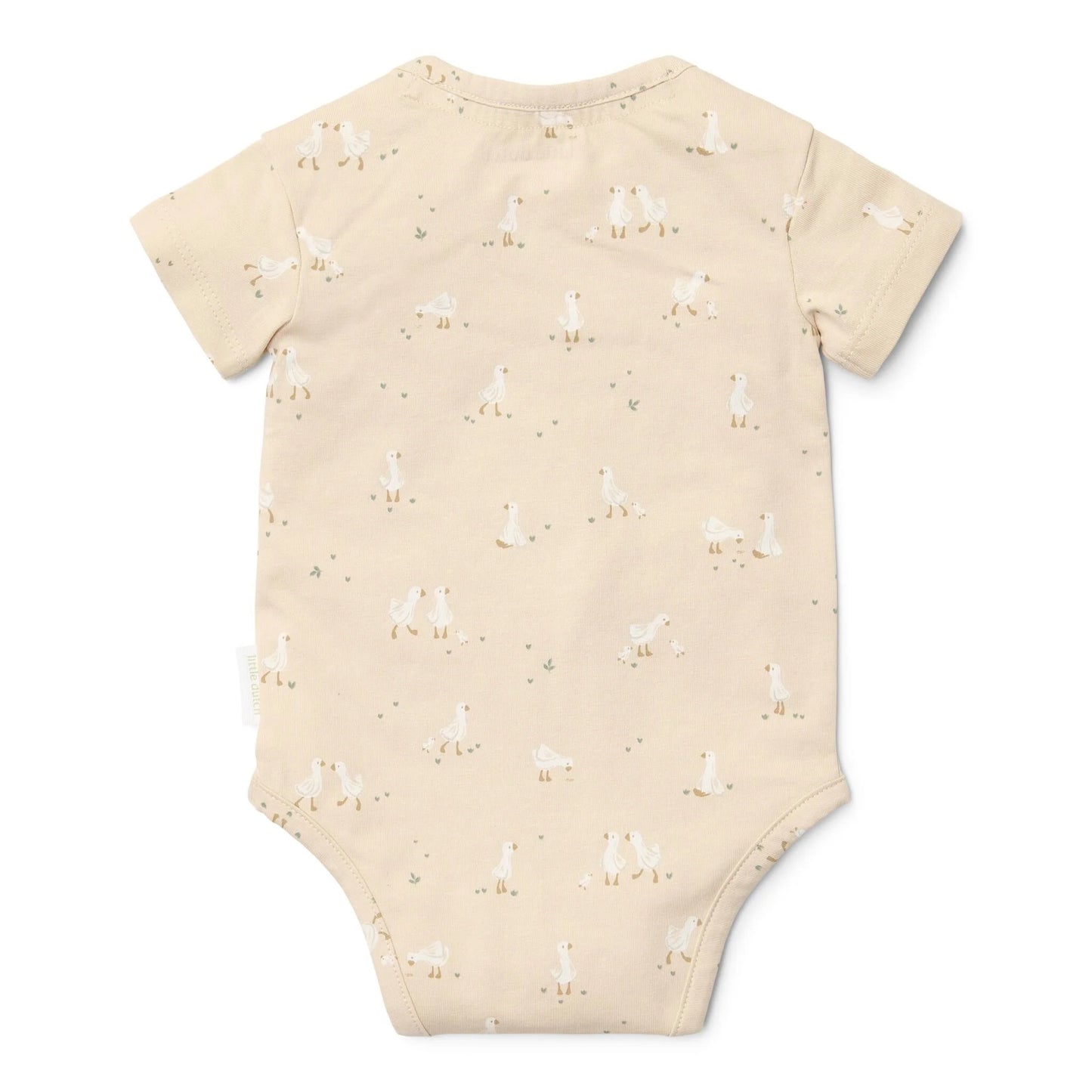 Body Little Goose