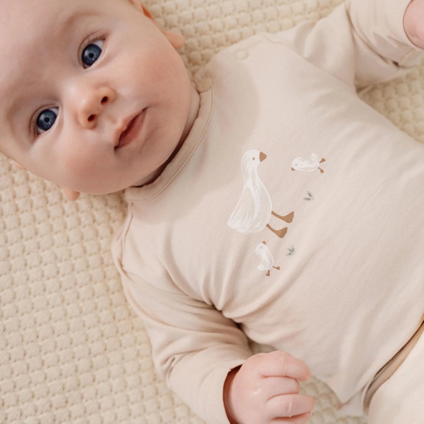Camisola Little Goose