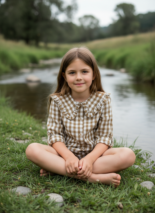HG Brown Plaid Blouse