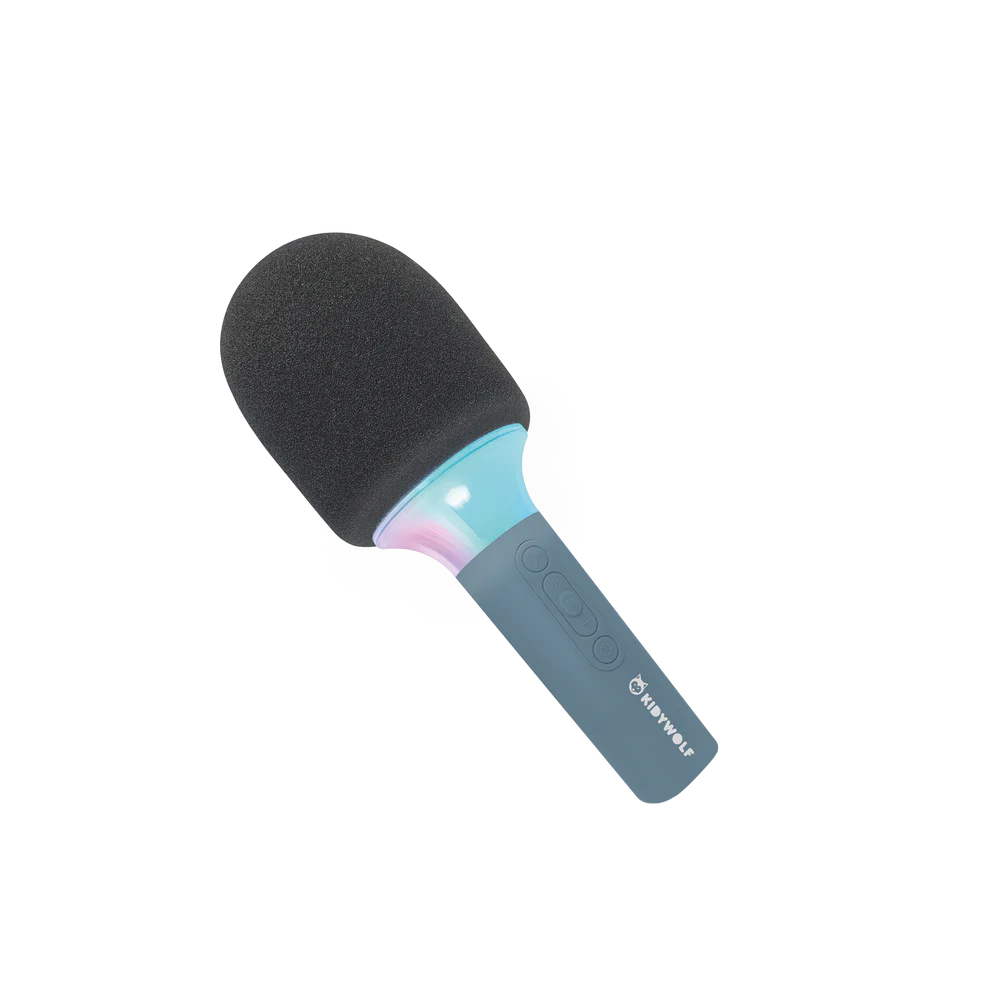 Microfone de Karaoke Azul