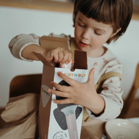 Microfone de Karaoke Rosa