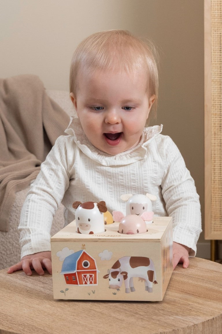 Little Farm Pop Up Toy
