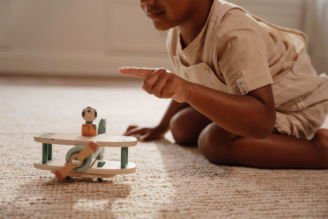 Toy Plane