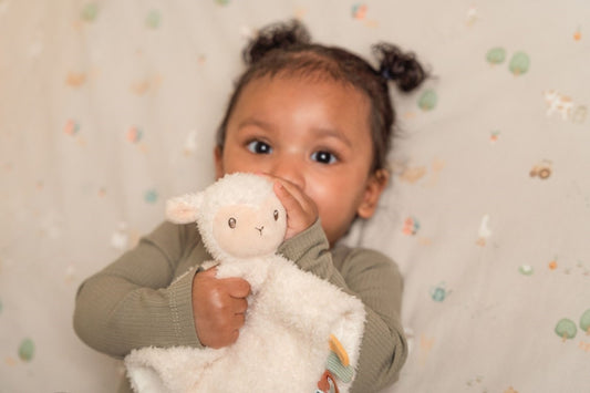 Cuddle cloth sheep small farm