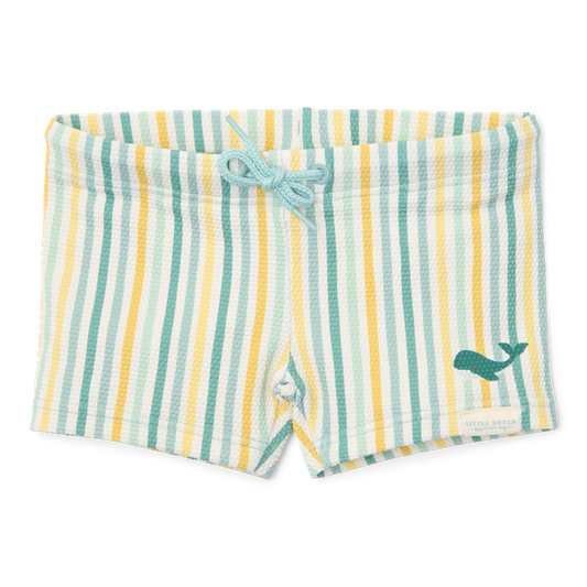 Beach Shorts - Multi-coloured Stripes