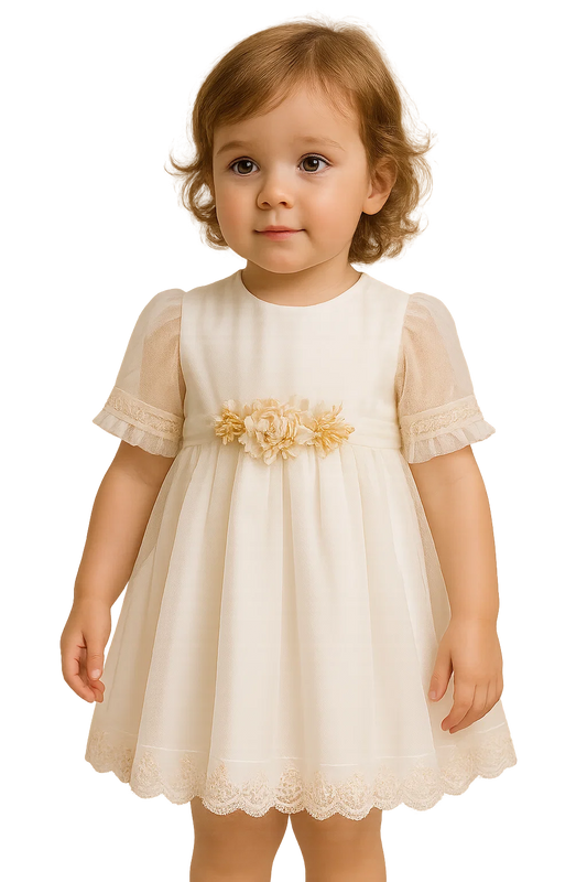 Amaya dress with tulle sleeves