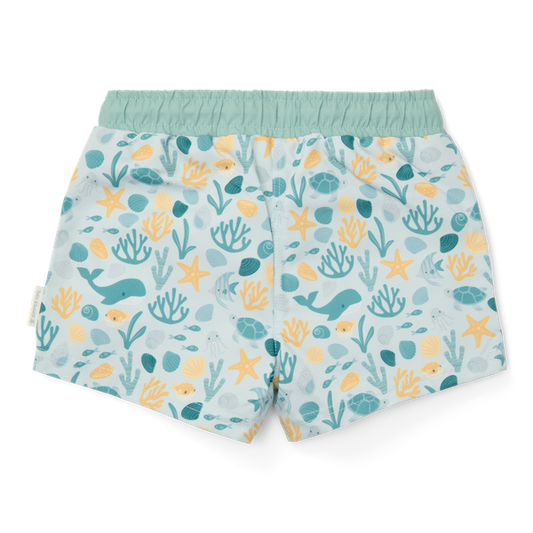 Beach Shorts - Seashells multi-colours