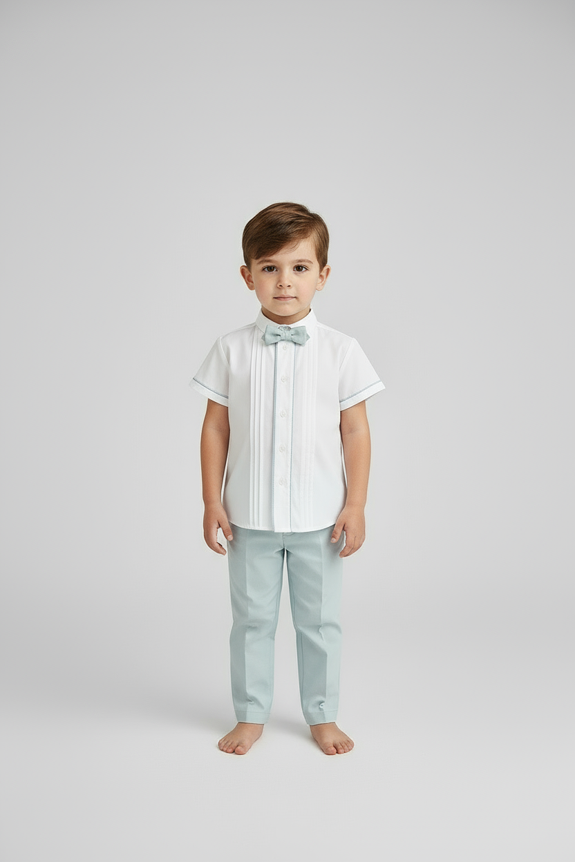 Shirt with pleats and details
