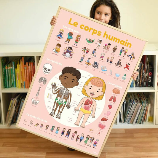 Human Body Discovery