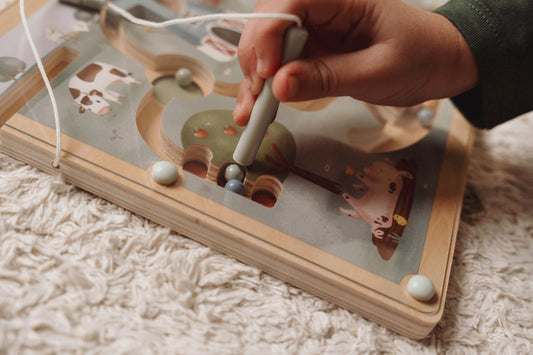Magnetic Maze