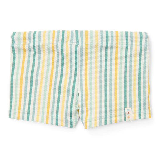 Beach Shorts - Multi-coloured Stripes