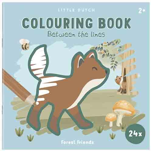 Livro de Colorir entre linhas-forest friends