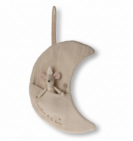 Moon, L'aventure de la Lune | 26cm