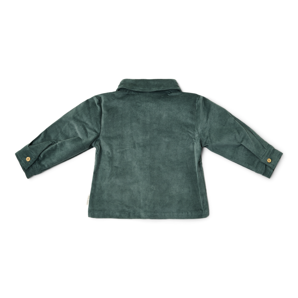 Camisa Verde Noite