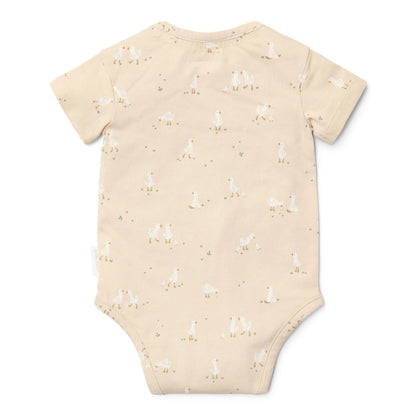 Body Little Goose