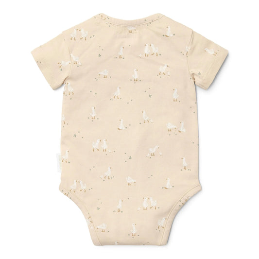 Body Little Goose