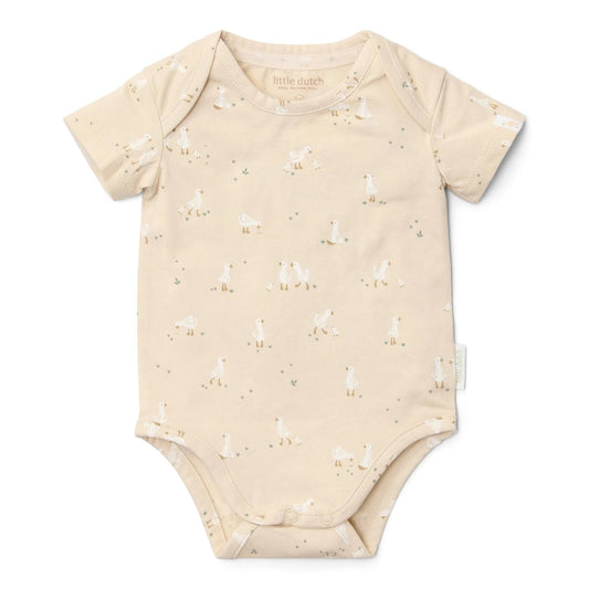 Body Little Goose