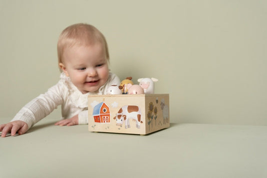 Little Farm Pop Up Toy
