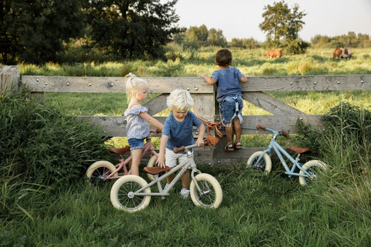 Balance bike-Olive Mate