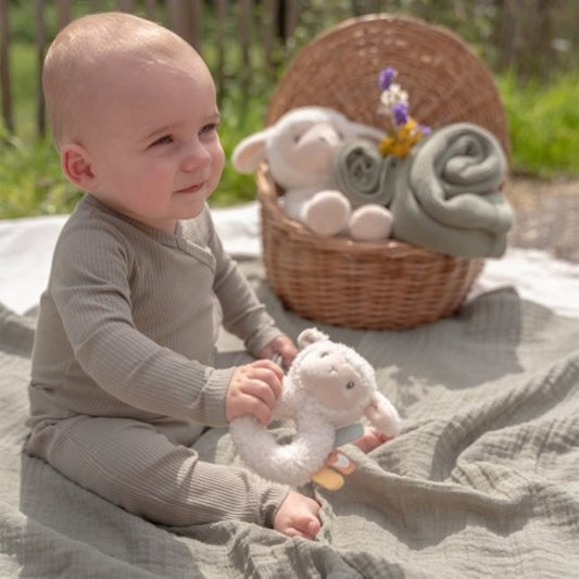 Soft ringrattle sheep little farm