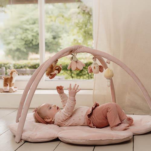 Ginásio e Tapete de Atividades em arco- Fairy Garden
