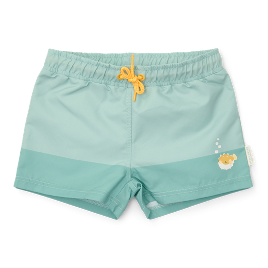 Beach Shorts - Seashells surf blue